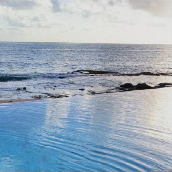 Meet your Posher, Ajaleina - Picture 1 of 1